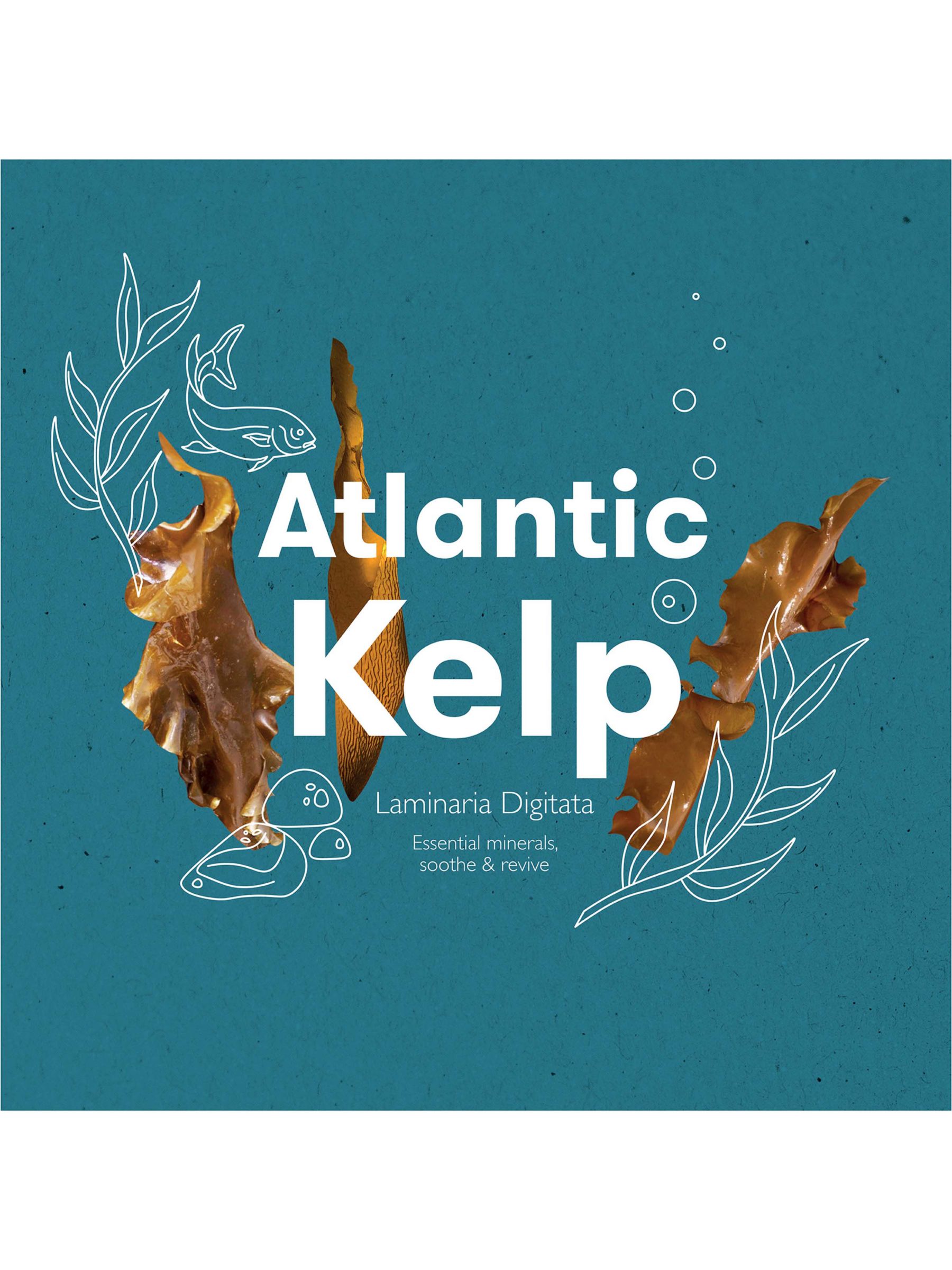 REN Clean Skincare Atlantic Kelp & Magnesium Anti-Fatigue Body Wash, 300ml 6