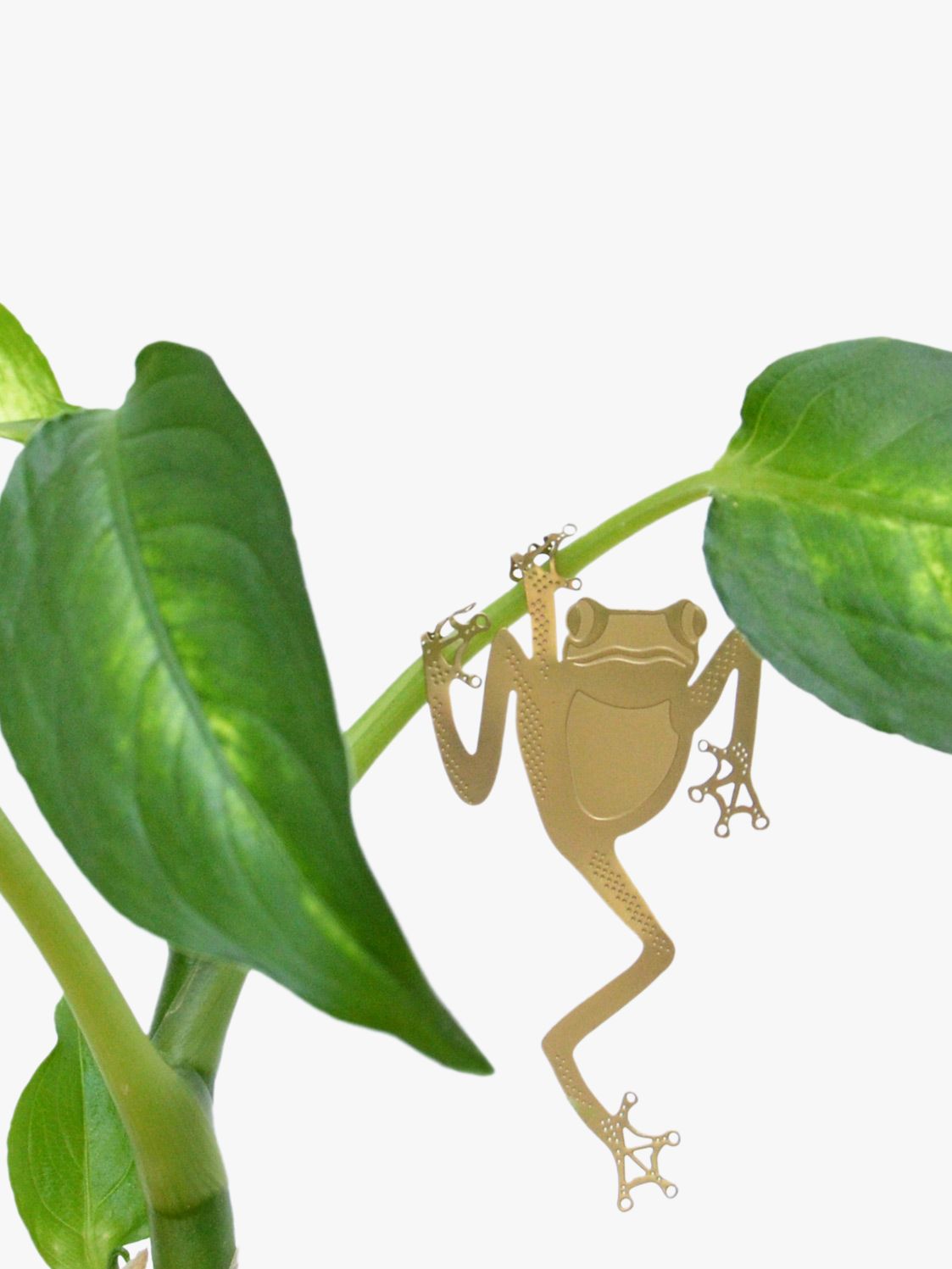 Another Studio Frog Decorative Plant Animal