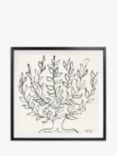 John Lewis Henri Matisse 'The Plain Tree 1951' Framed Print & Mount, 102 x 102cm