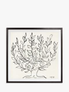 Matisse - The Plain Tree 1951 Framed Print & Mount, 102 x 102cm