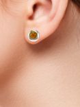 Be-Jewelled Baltic Amber Round Stud Earrings, Silver/Cognac