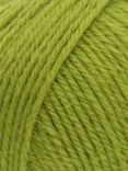 West Yorkshire Spinners ColourLab DK Yarn, 100g, Pear Green