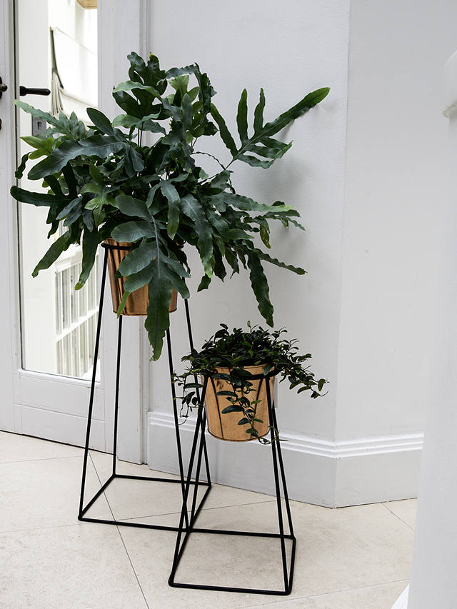 Ivyline Indoor Plant Pot and Mimmo Stand, H60.5cm, Copper/Black