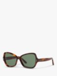 Celine CL40075I Women's Butterfly Sunglasses, Tortoise/Green