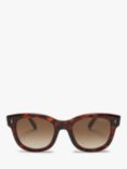 Mulberry Women's Jane D-Frame Sunglasses