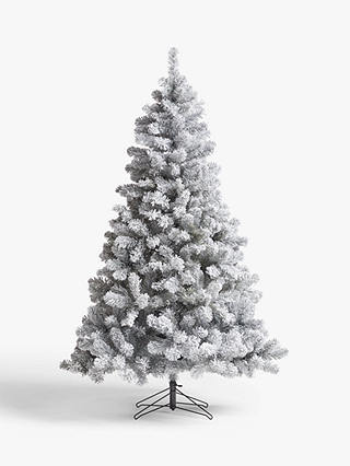 John Lewis & Partners Frosted Festive Fir Unlit Christmas Tree, 6ft