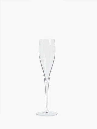 John Lewis & Partners Connoisseur Champagne Flutes, Set of 4, 175ml, Clear