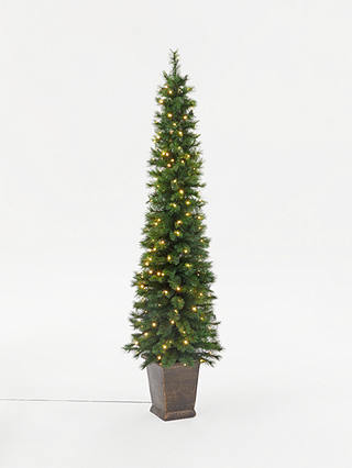 John Lewis & Partners Pencil Pine Potted Pre-lit Christmas Tree, 7ft