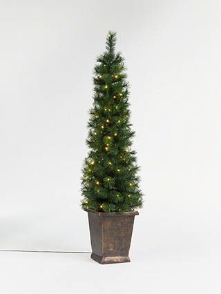 John Lewis & Partners Pencil Pine Potted Pre-lit Christmas Tree, 5ft
