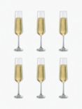 Dartington Crystal Simplicity Champagne Flutes, 200ml, Set of 6, Clear