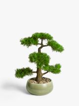 John Lewis Artificial Bonsai Pine Tree