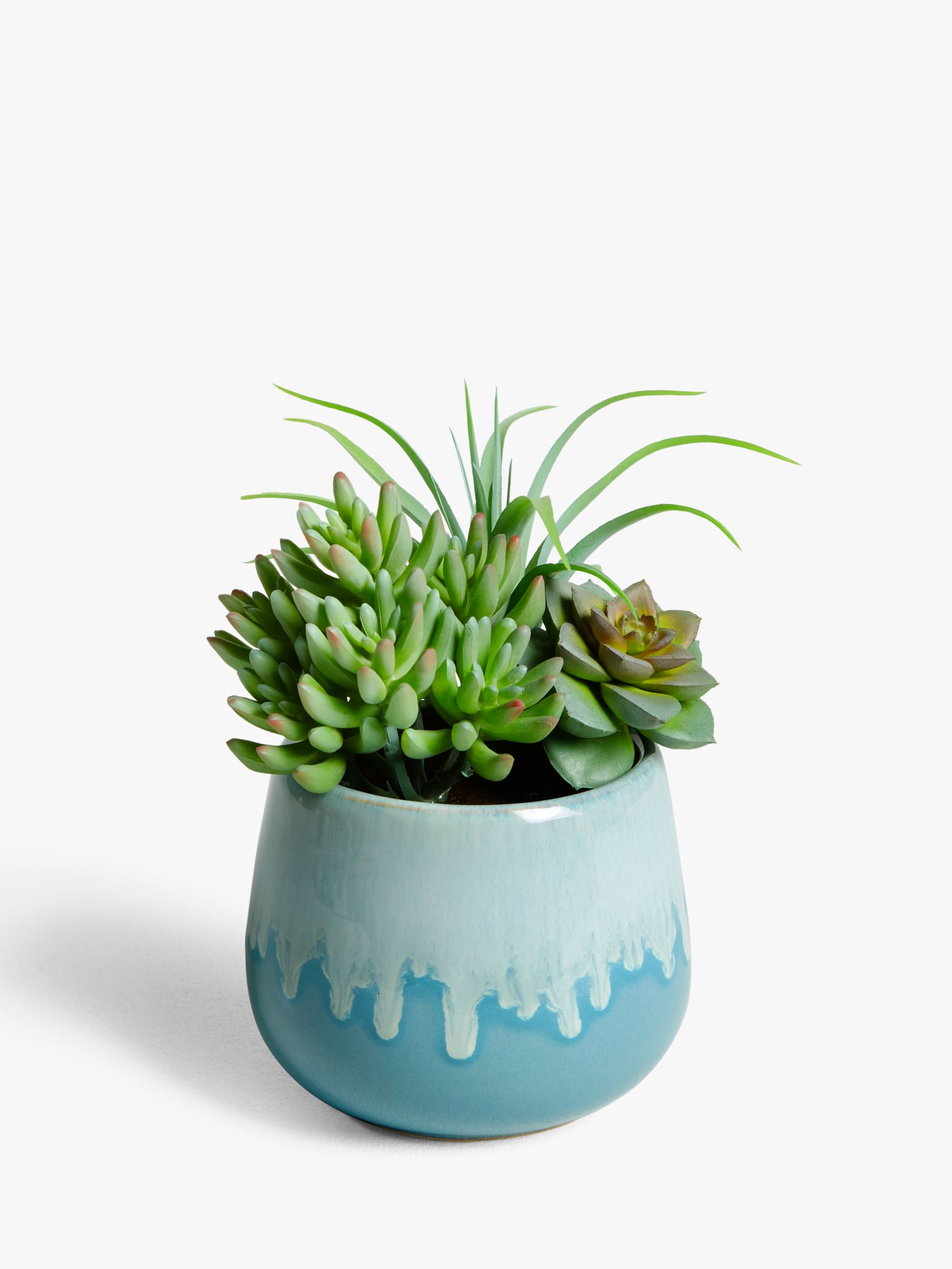 John Lewis & Partners Artificial Garden Succulent review