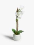 John Lewis Artificial Large White Orchid