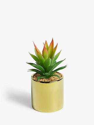 John Lewis Artificial Tall Spiky Succulent & Gold-Toned Pot