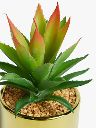 John Lewis & Partners Artificial Tall Spiky Succulent
