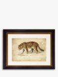 Jaguar - Framed Print & Mount, 46 x 55cm, Brown