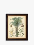 Fruitful Palm I - Framed Print, 51 x 41cm, Green