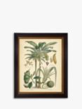 Fruitful Palm II - Framed Print, 51 x 41cm, Green