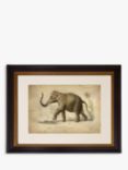 Elephant - Framed Print & Mount, 46 x 55cm, Grey