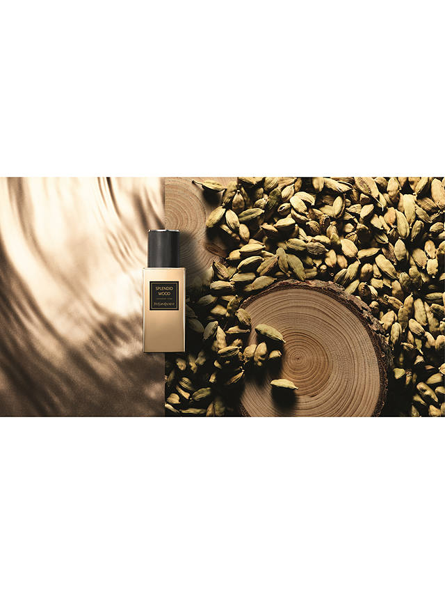 Yves Saint Laurent Collection Orientale Splendid Wood Eau de Parfum, 125ml 4