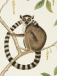 Sanderson Ringtailed Lemur Wallpaper, DGLW216664