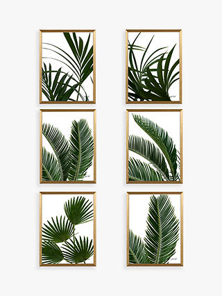 Linda Wood - Tropical Leaves Framed Prints & Mounts, Set of 6, 42 x 32cm, Green/Gold