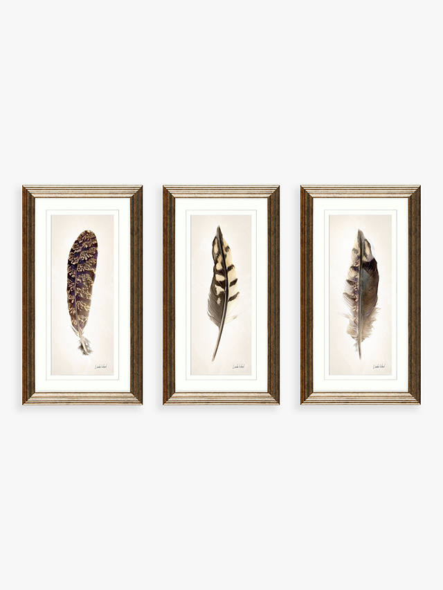 Linda Wood - Feathers Framed Prints & Mounts, Set of 3, 67 x 37cm, Champagne