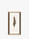 Linda Wood - Feathers Framed Prints & Mounts, Set of 3, 67 x 37cm, Champagne