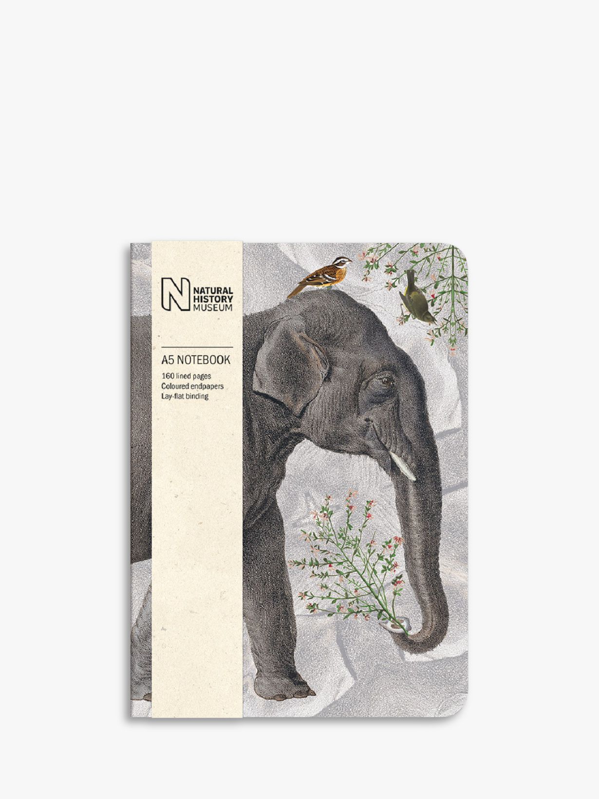 Museums & Galleries Natural History Museum A5 Elephant Notebook review