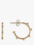 Joma Jewellery Beaded Hoop Earrings, Gold