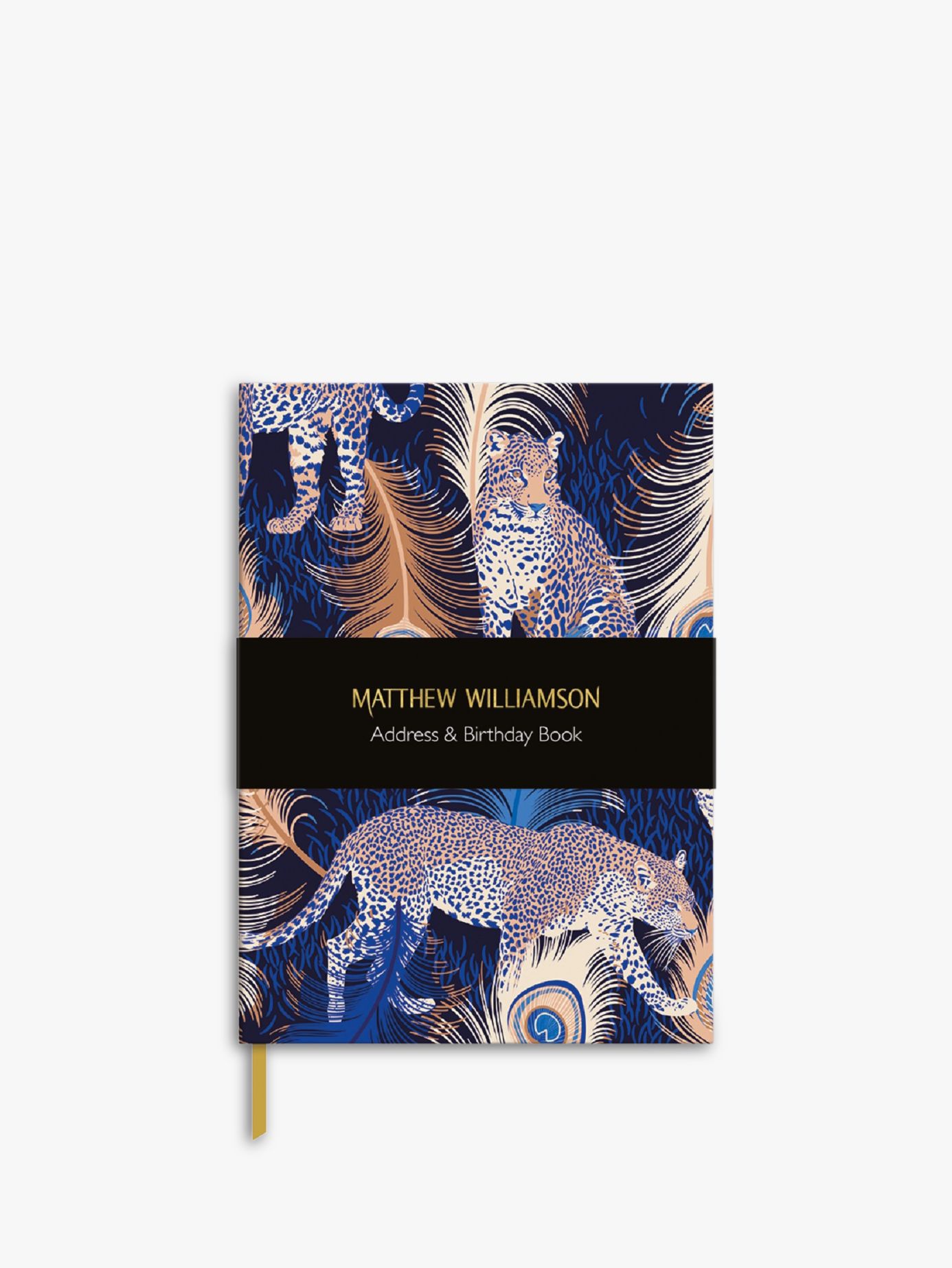 Museums & Galleries Matthew Williamson Leopards Address & Birthday Book review