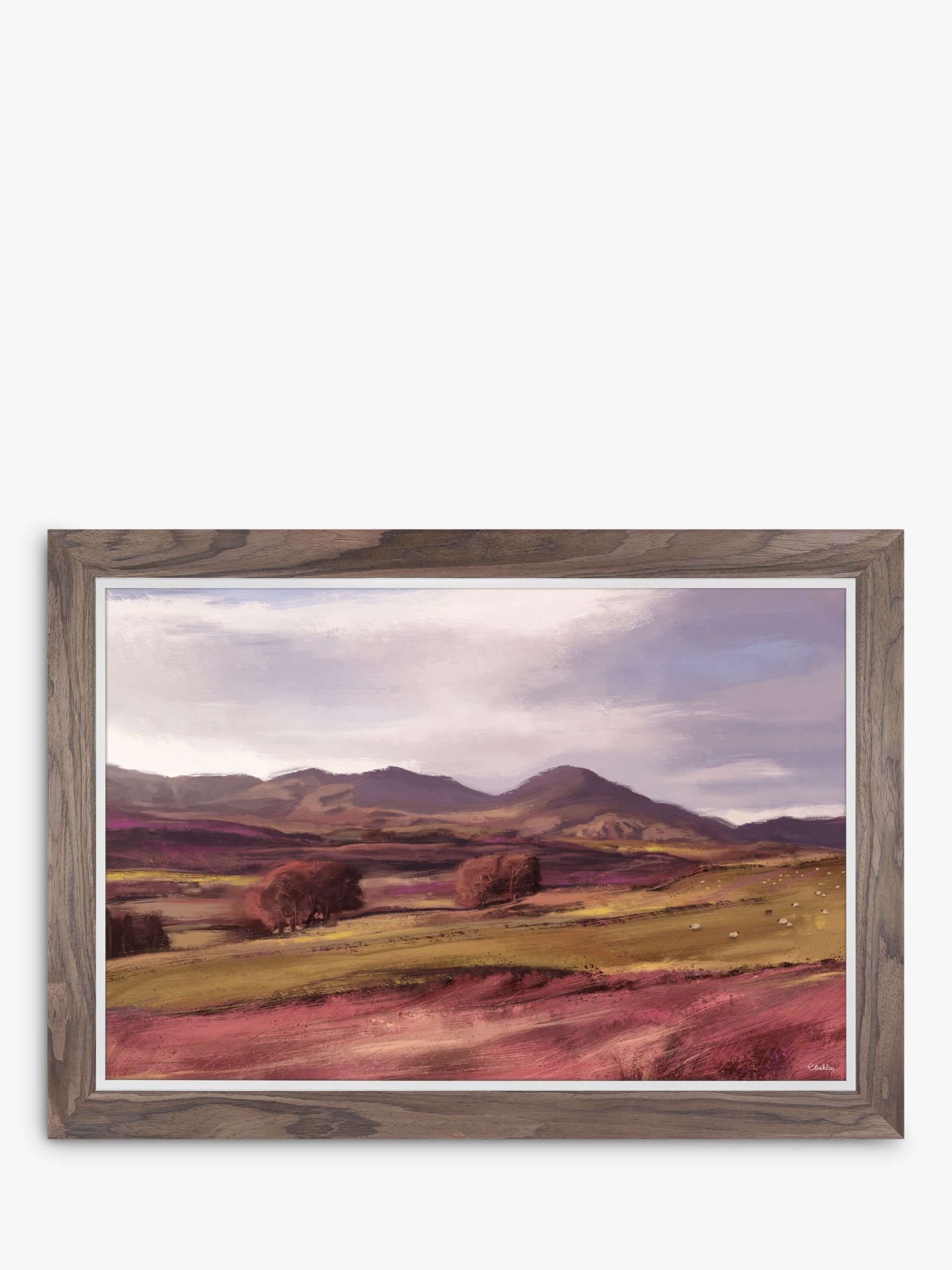 Charlotte Oakley - Highlands Framed Canvas Print, 74 x 104cm, Purple/Multi