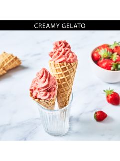 Magimix Gelato Expert Ice Cream Maker, Silver