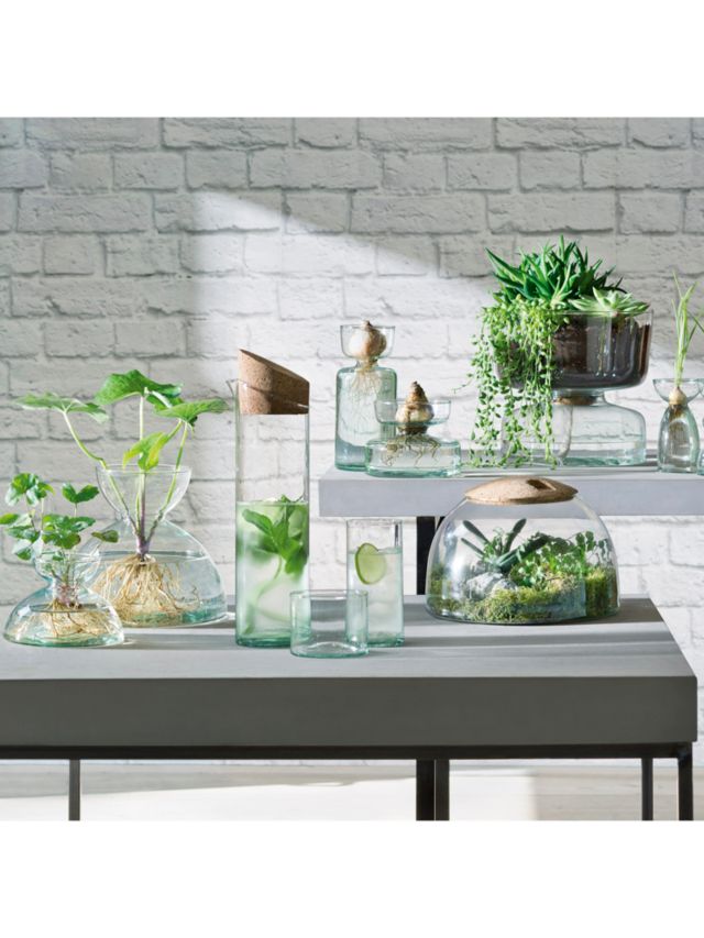 Canopy Recycled Glass Tumbler Set