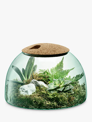 LSA International Canopy Recycled Glass Terrarium with Cork Lid