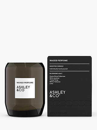Ashley & Co Blossom & Gilt Waxed Perfume Scented Candle, 310g