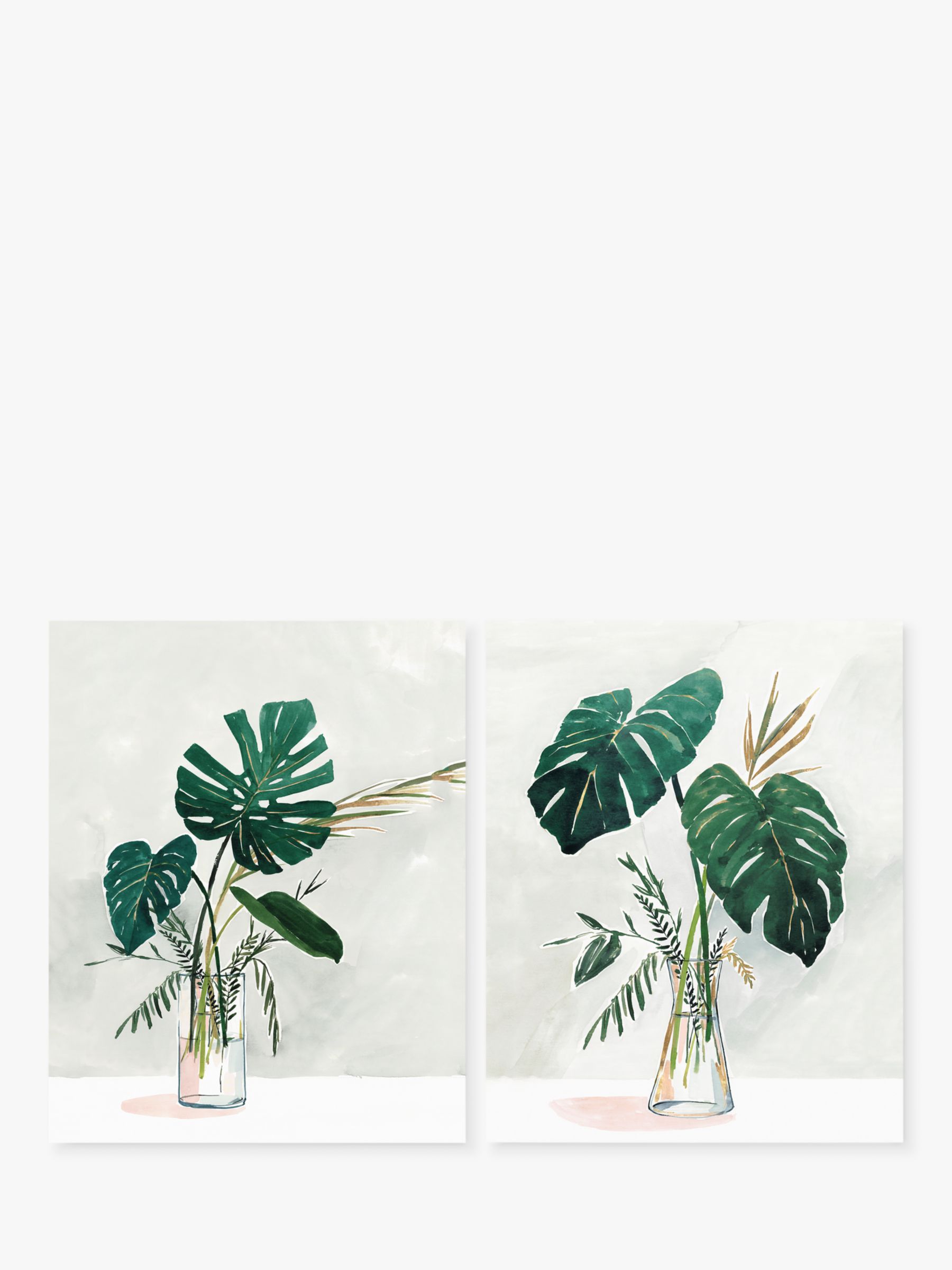 Cheese Plant & Jar - Unframed Prints, Set of 2, 50 x 40cm, Green