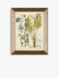 Botanical Florals Framed Prints, Set of 3, 47 x 37cm, Green/Multi