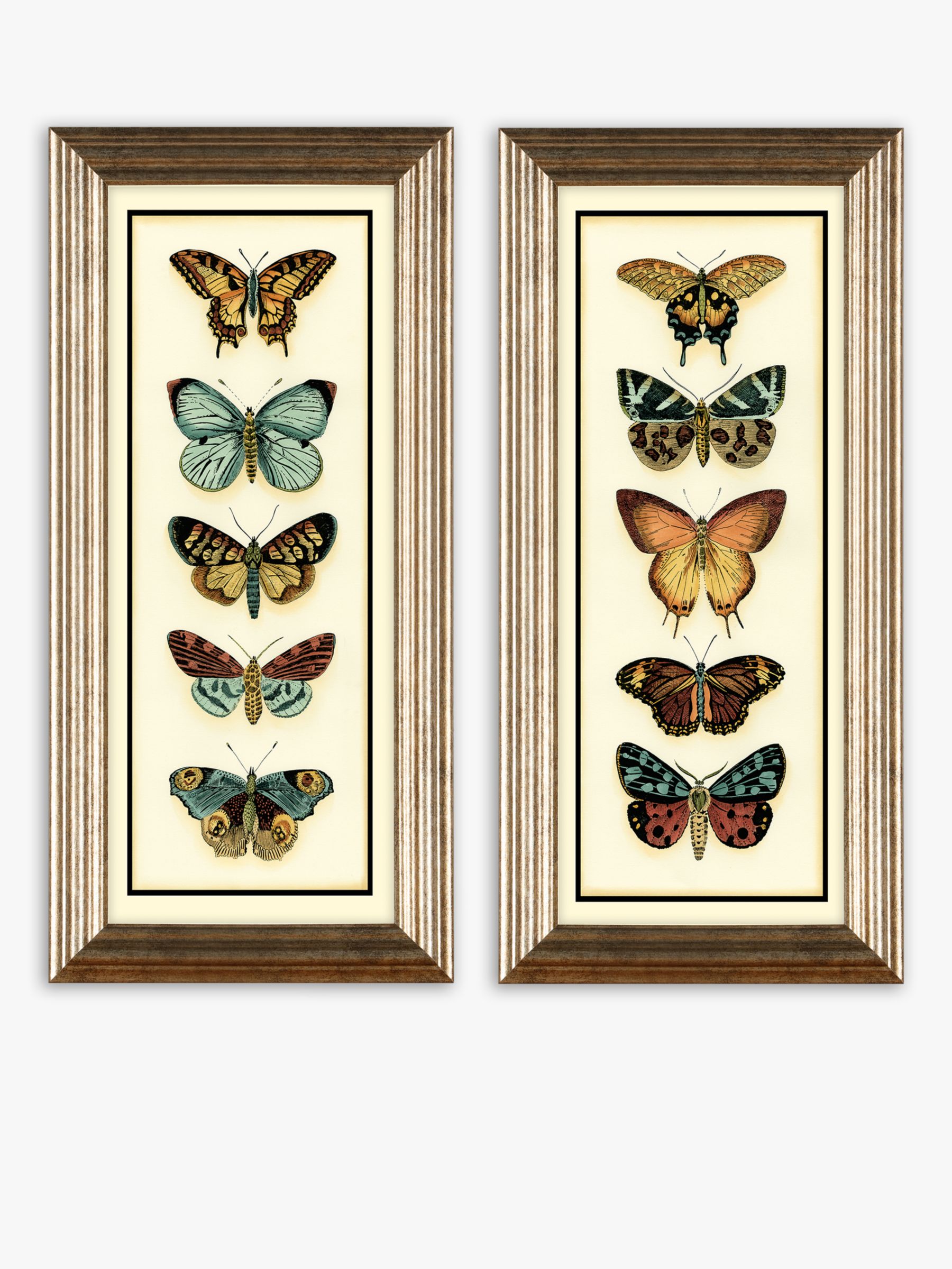 Vintage Butterflies Framed Prints review