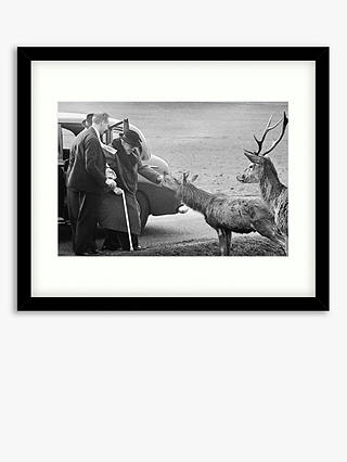 Getty Images Gallery - Winston Churchill in Richmond Park Wood Framed Print & Mount, 49.5 x 64.5cm