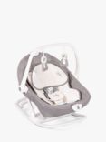 Joie Baby Sansa 2 in 1 Fern Swing and Rocker