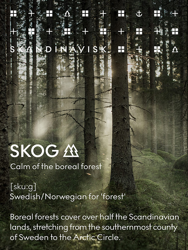 SKANDINAVISK Skog Forest Scented Candle, 200g