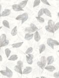 Galerie Fossil Leaf Toss Wallpaper, 7301
