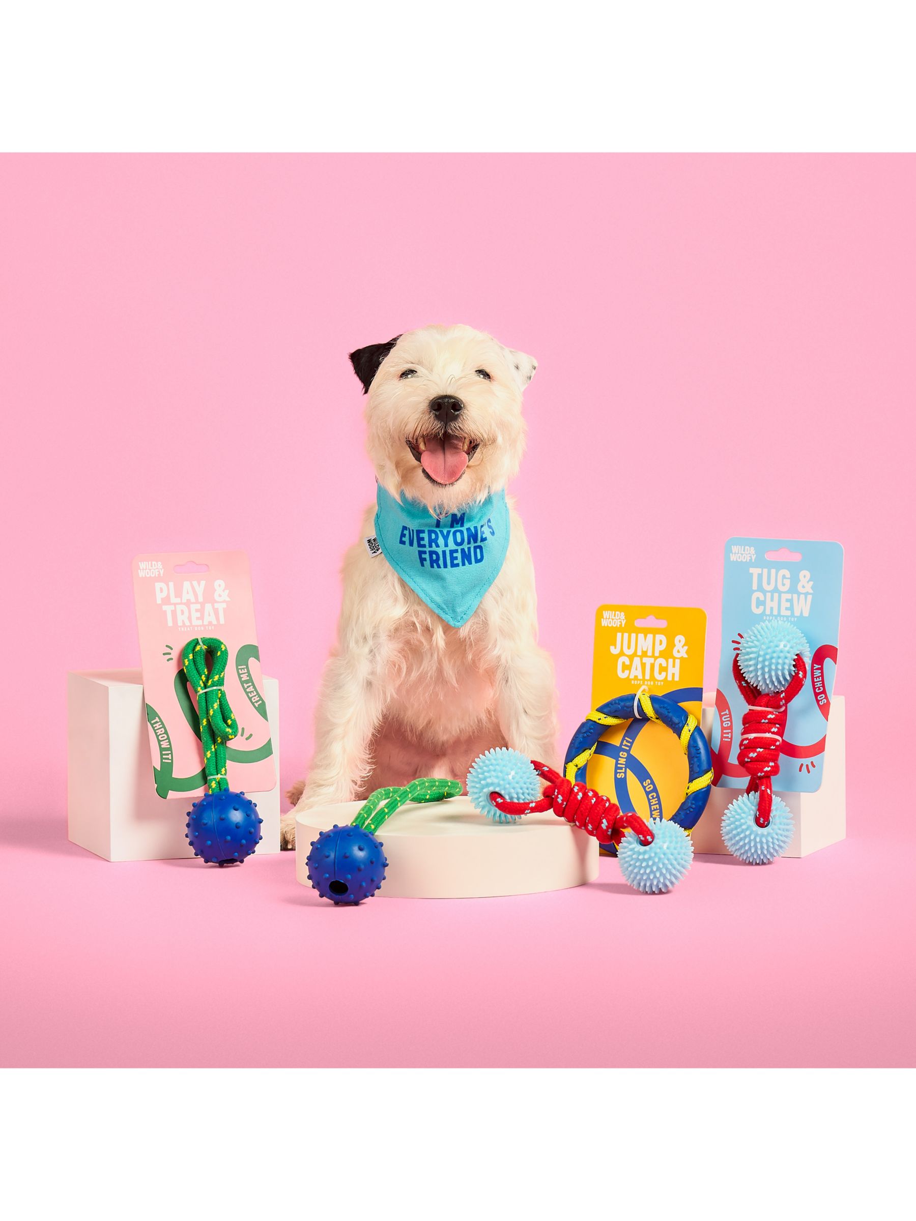 discount dog toys online