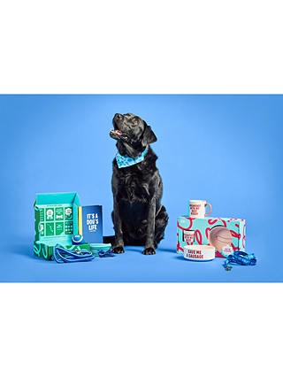Wild & Woofy New Dog Starter Kit Gift Set