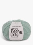 Wool And The Gang Feeling Good Aran Yarn, 50g, Eucalyptus