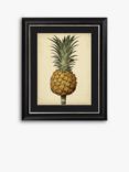 George Brookshaw - Antique Pineapple II Framed Print & Mount, 60 x 50cm, Black/Multi