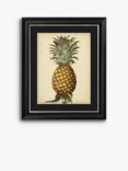 George Brookshaw - Antique Pineapple I Framed Print & Mount, 60 x 50cm, Black/Multi