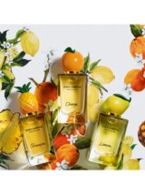 Dolce & Gabbana Fruit Collection Pineapple Eau de Toilette, 150ml at John  Lewis & Partners