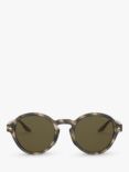 Emporio Armani AR8130 Men's Oval Sunglasses, Striped Brown/Brown